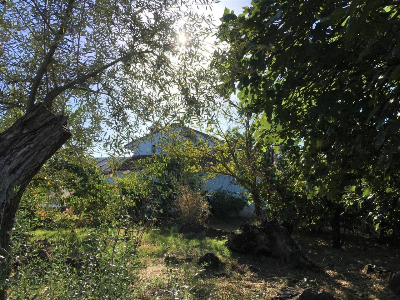 ארקנה Finca Horno De Cal מראה חיצוני תמונה
