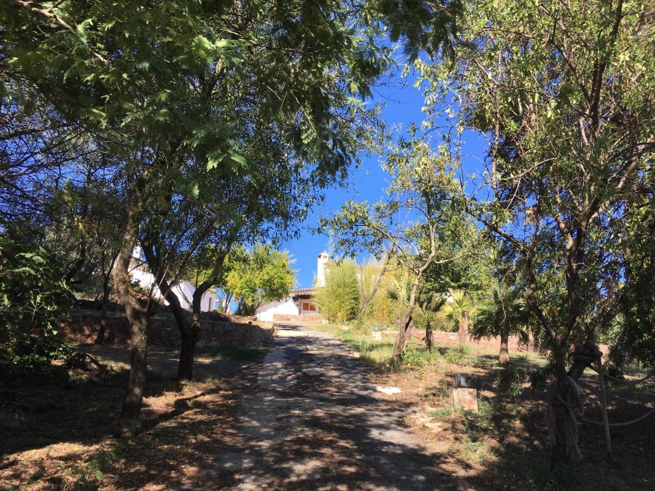 ארקנה Finca Horno De Cal מראה חיצוני תמונה